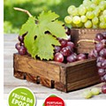 Antevisão Folheto LIDL Especial Portugal Promoções a partir de 14 setembro p12.jpg